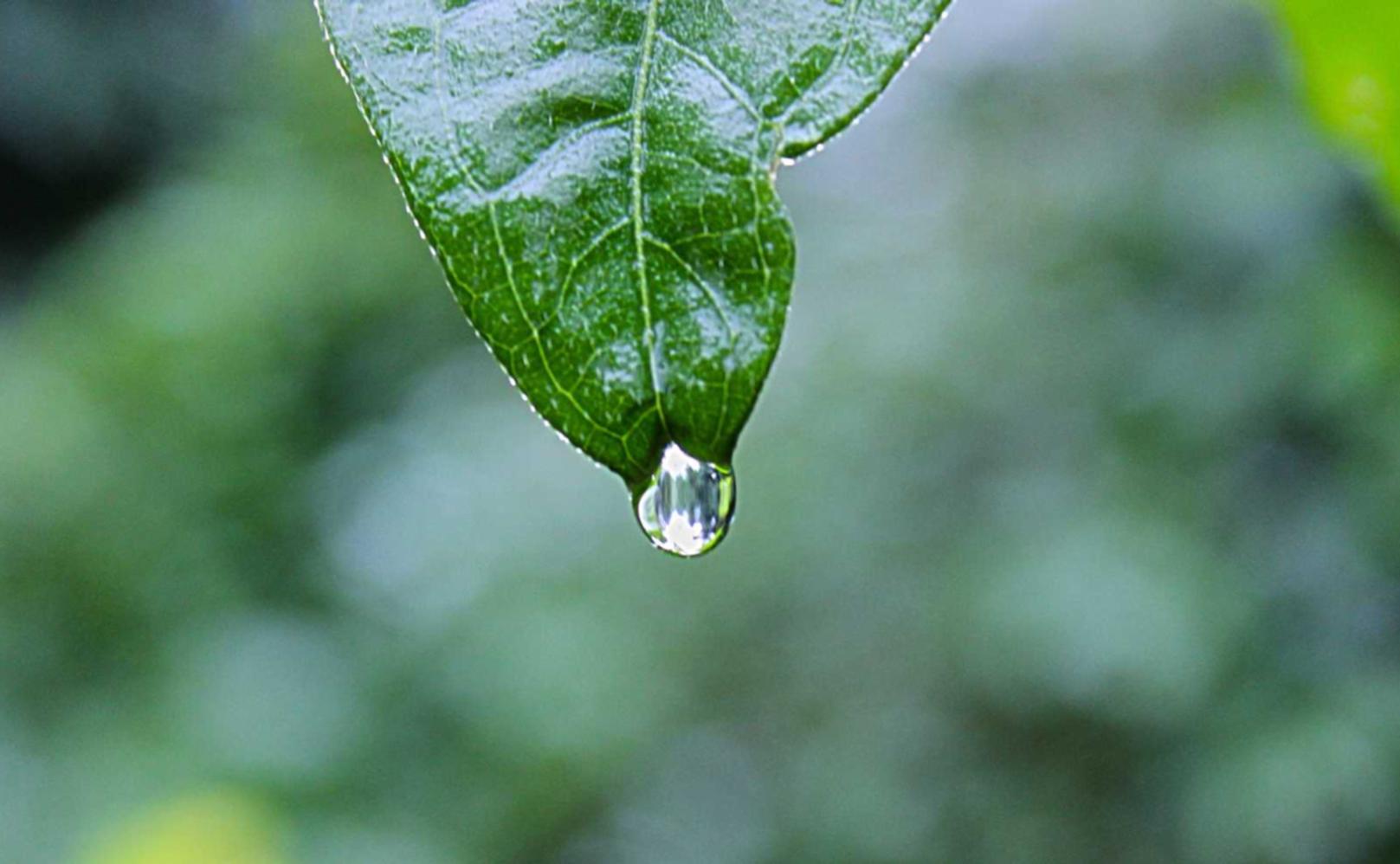 一品传承2娱乐，注册|收银账号怎么注册不了