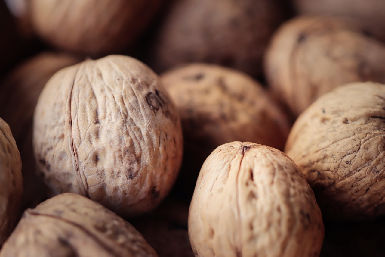 DDoS攻击潮起潮落，保护你的服务器稳如磐石