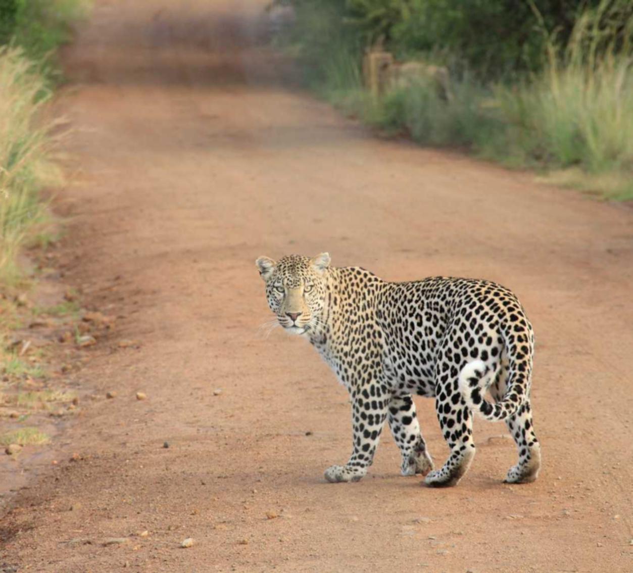 极信通信实名账号:实名账号与网民素质提高的关系
