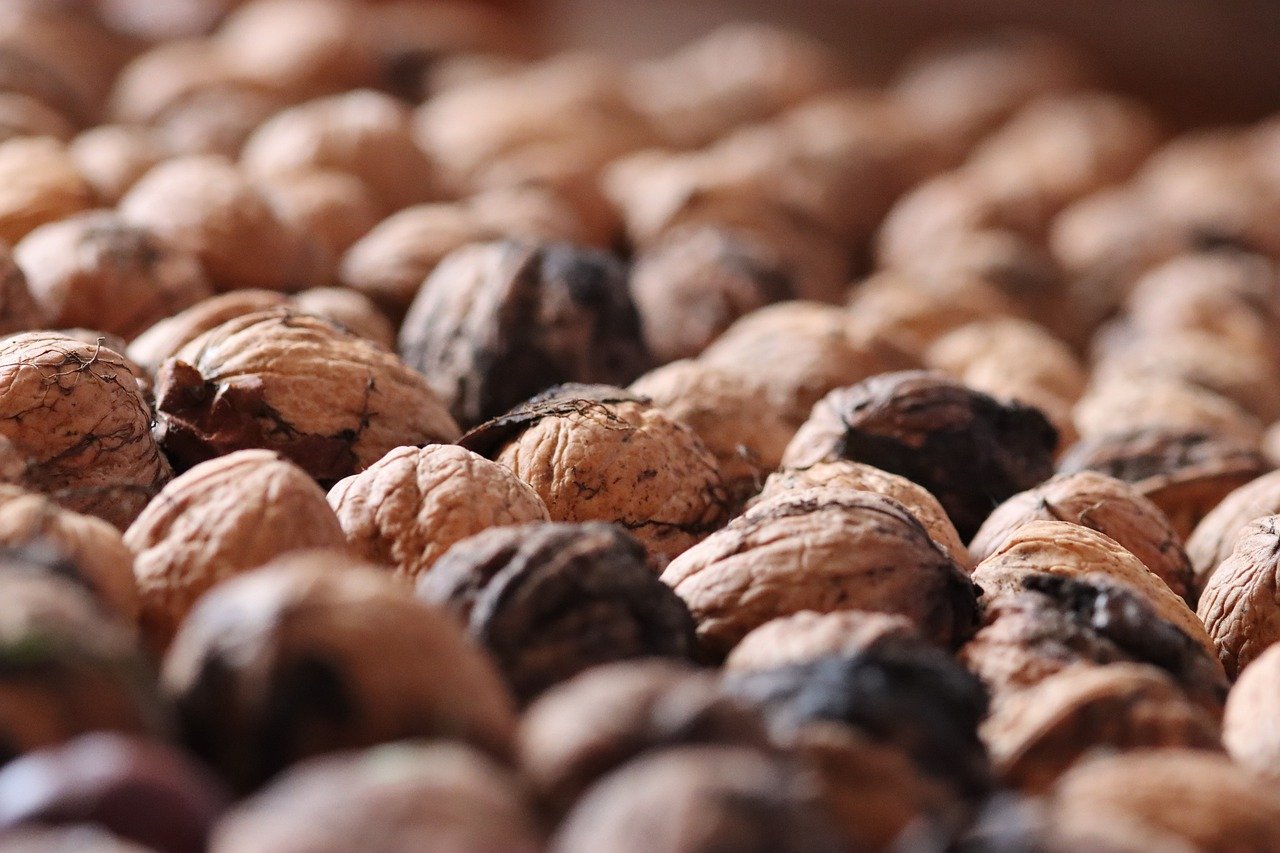 广东10086app详情下载教程