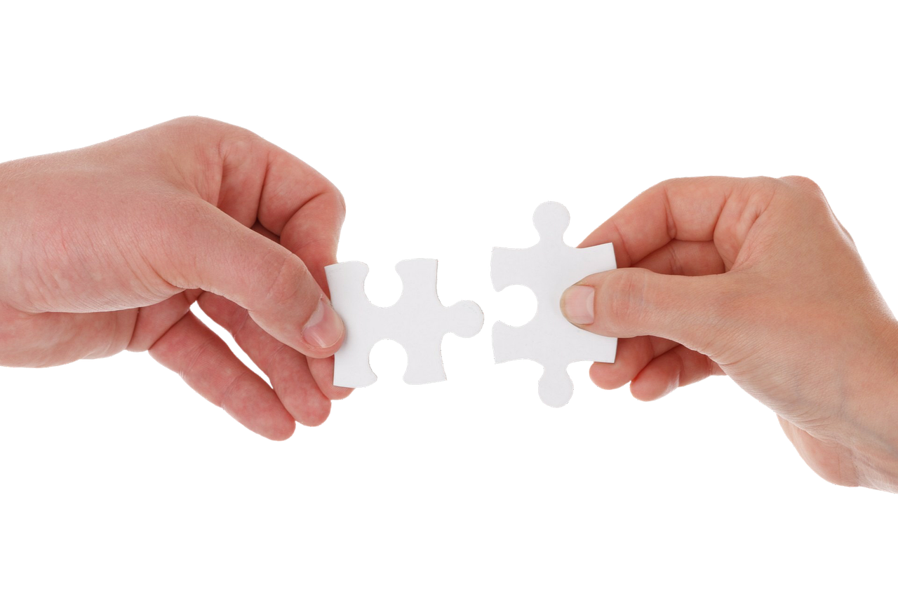 蝙蝠实名账号:鲜花代理平台销售