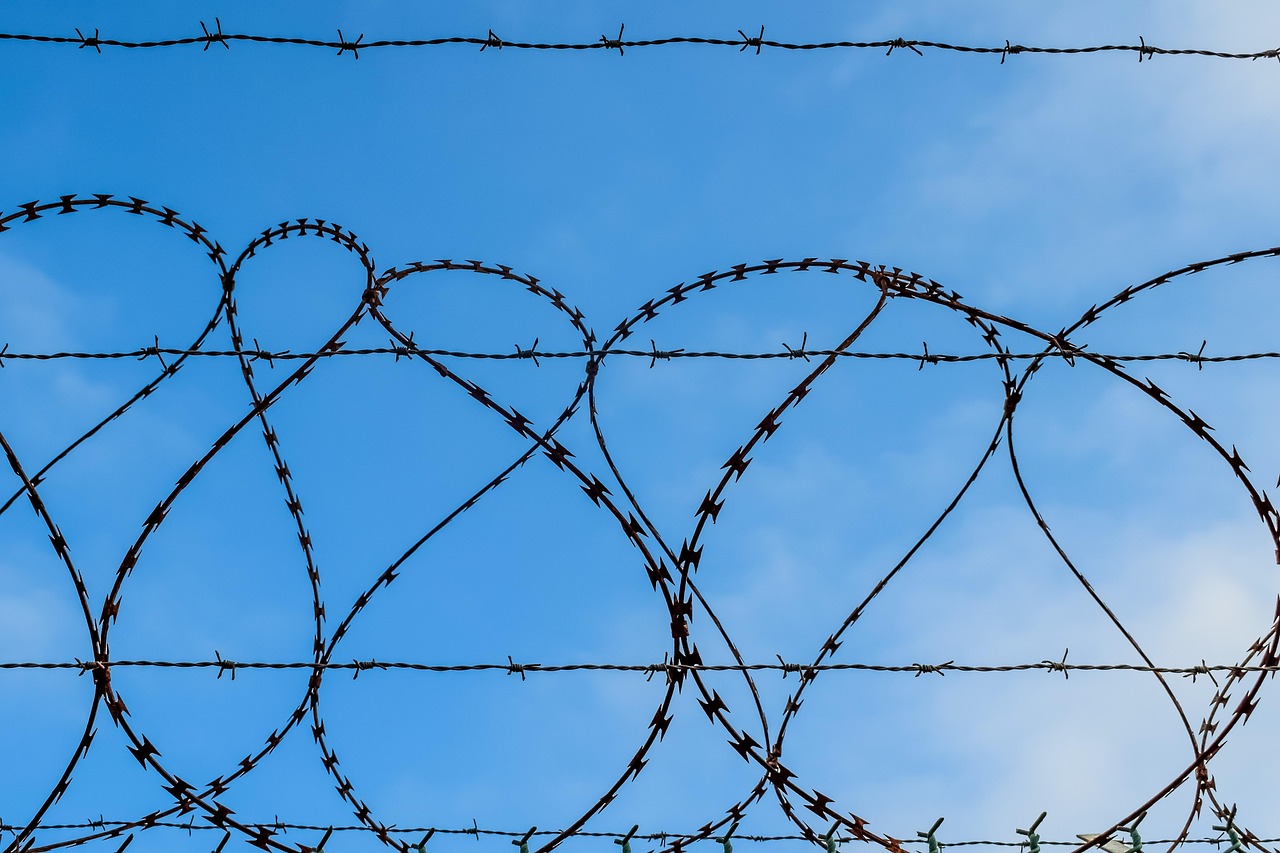 Peel百乐哈密瓜爆珠:七星彩排列五代理平台