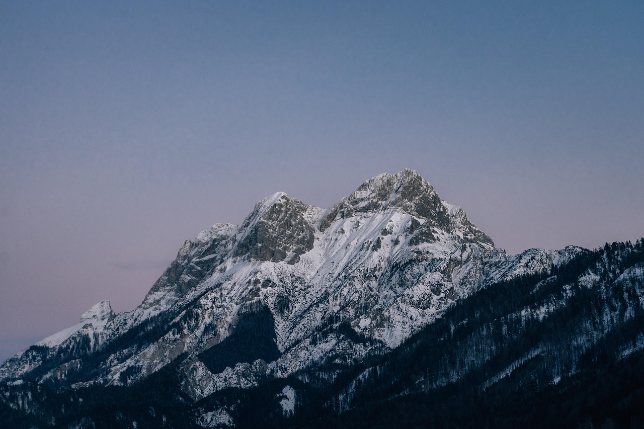 如何利用AI技术防治技术支持辅助